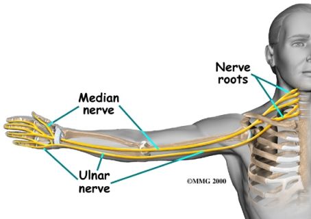 Here's How Ulnar Nerve Damage Settlements Are Determined - McCready Law