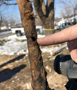 Large Settlement in Propane House Explosion lawsuit 4