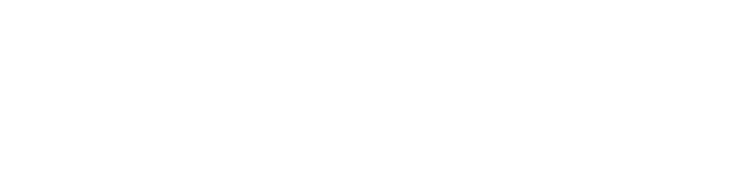 ML-Logo-White