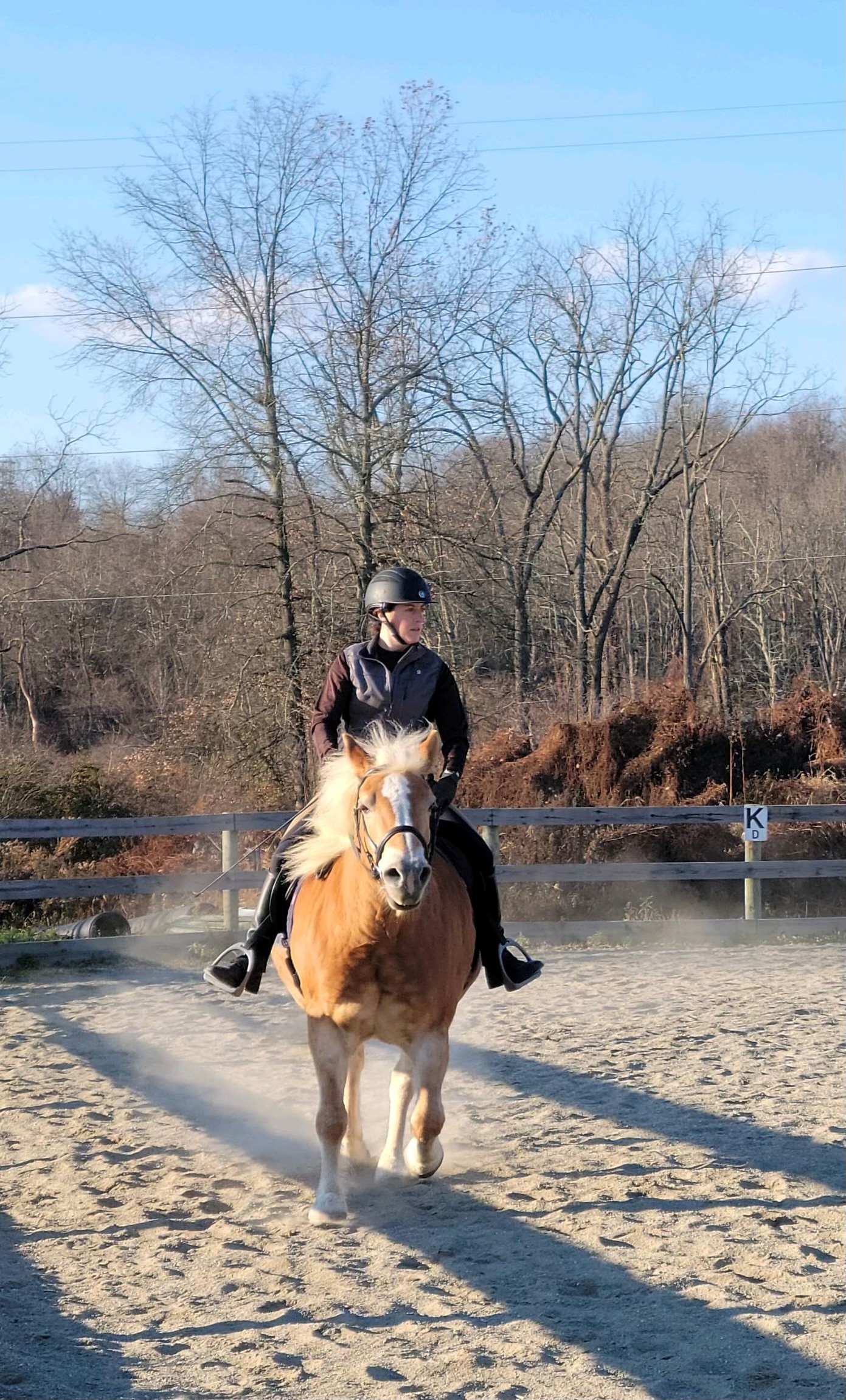 A rider in a helmet sits on a light brown horse in an outdoor arena with bare trees in the background.