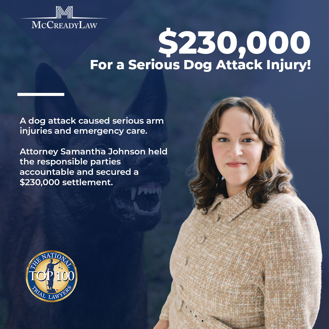 Samantha Johnson, attorney, stands beside a snarling dog, promoting a $230,000 settlement for a dog attack injury.